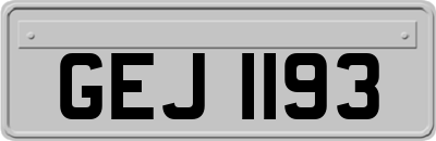 GEJ1193