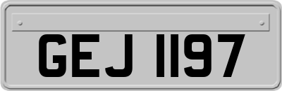 GEJ1197