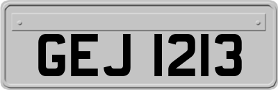 GEJ1213