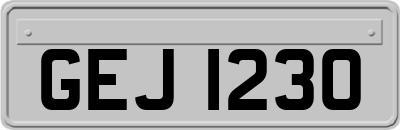 GEJ1230