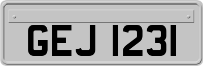GEJ1231