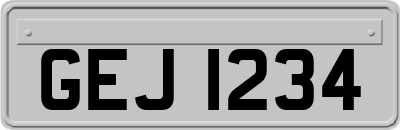 GEJ1234