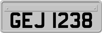 GEJ1238