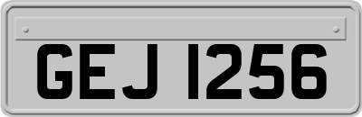 GEJ1256