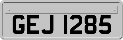 GEJ1285