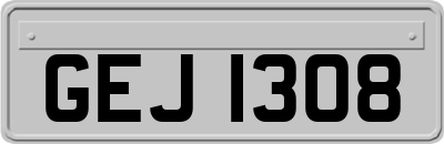 GEJ1308