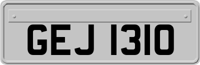 GEJ1310