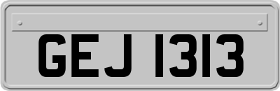 GEJ1313