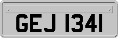 GEJ1341