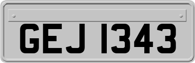 GEJ1343