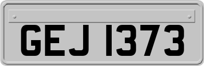 GEJ1373