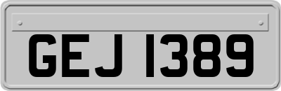 GEJ1389