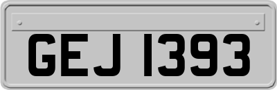 GEJ1393