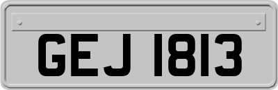 GEJ1813