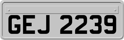 GEJ2239