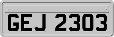 GEJ2303