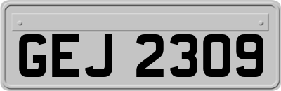 GEJ2309