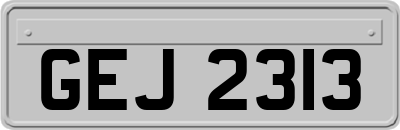 GEJ2313