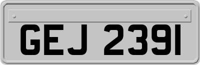 GEJ2391