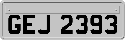 GEJ2393