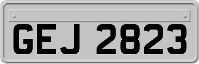 GEJ2823
