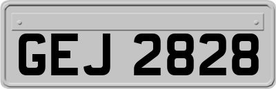 GEJ2828