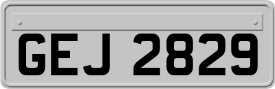 GEJ2829