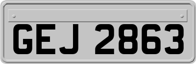 GEJ2863