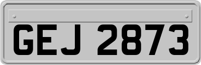 GEJ2873