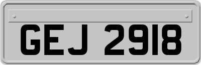 GEJ2918