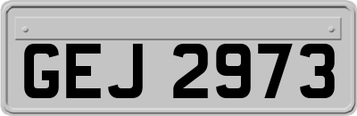 GEJ2973