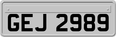 GEJ2989