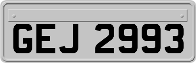 GEJ2993