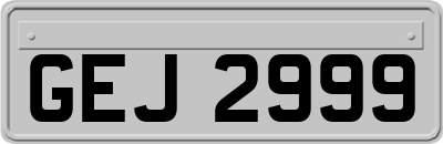 GEJ2999