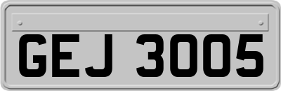 GEJ3005
