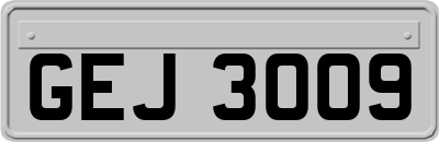 GEJ3009