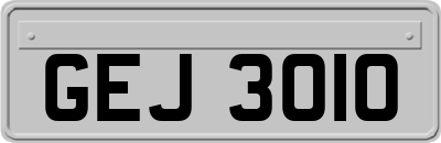 GEJ3010