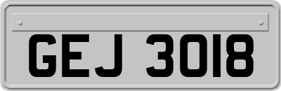 GEJ3018