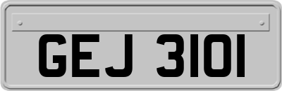 GEJ3101