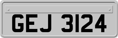 GEJ3124
