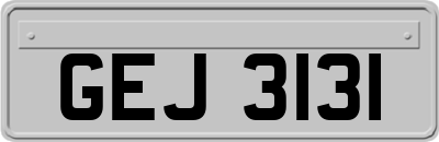 GEJ3131