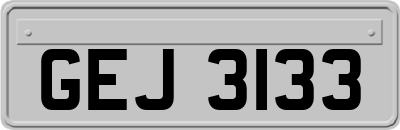 GEJ3133