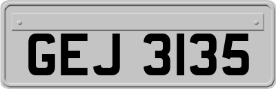 GEJ3135