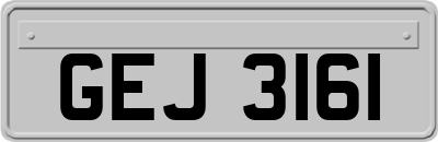GEJ3161