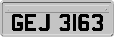 GEJ3163