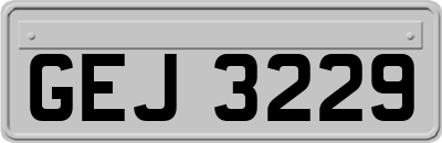 GEJ3229