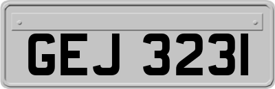 GEJ3231