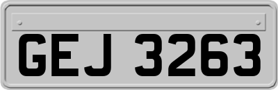 GEJ3263