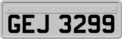 GEJ3299