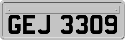 GEJ3309